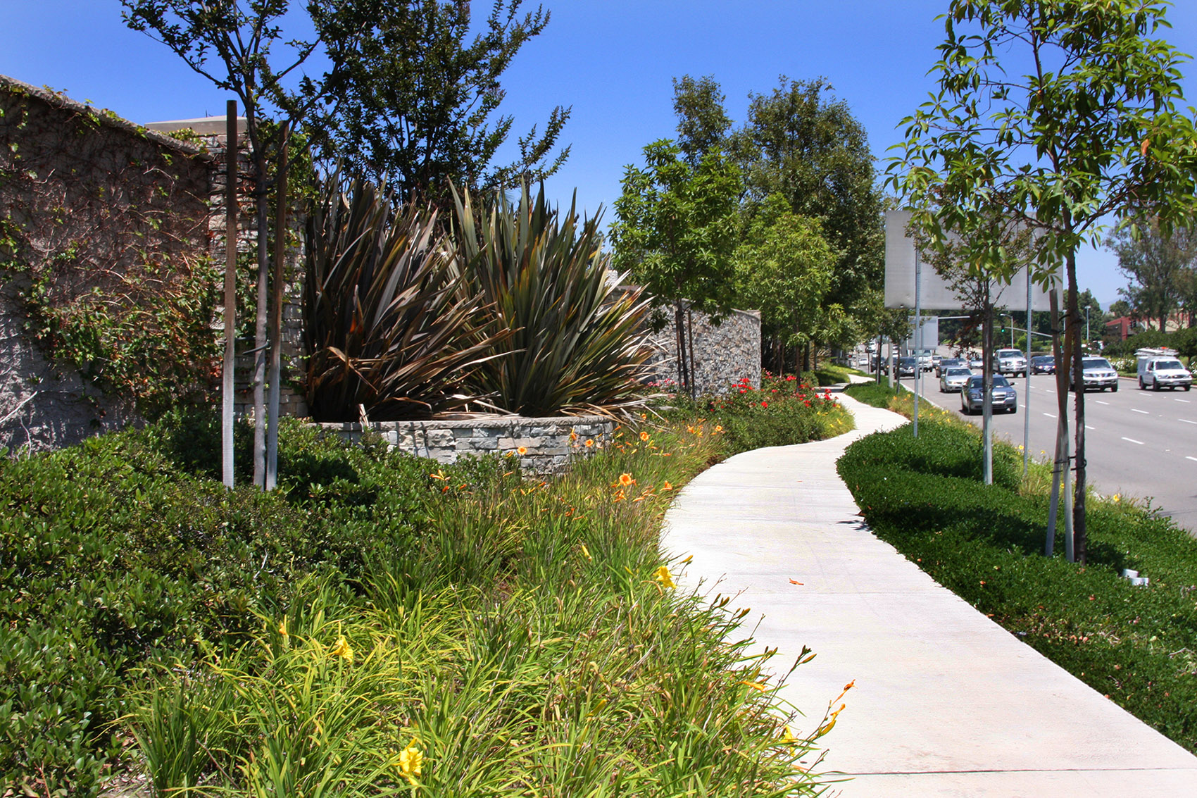 RJMDesignGroup » Alicia Parkway