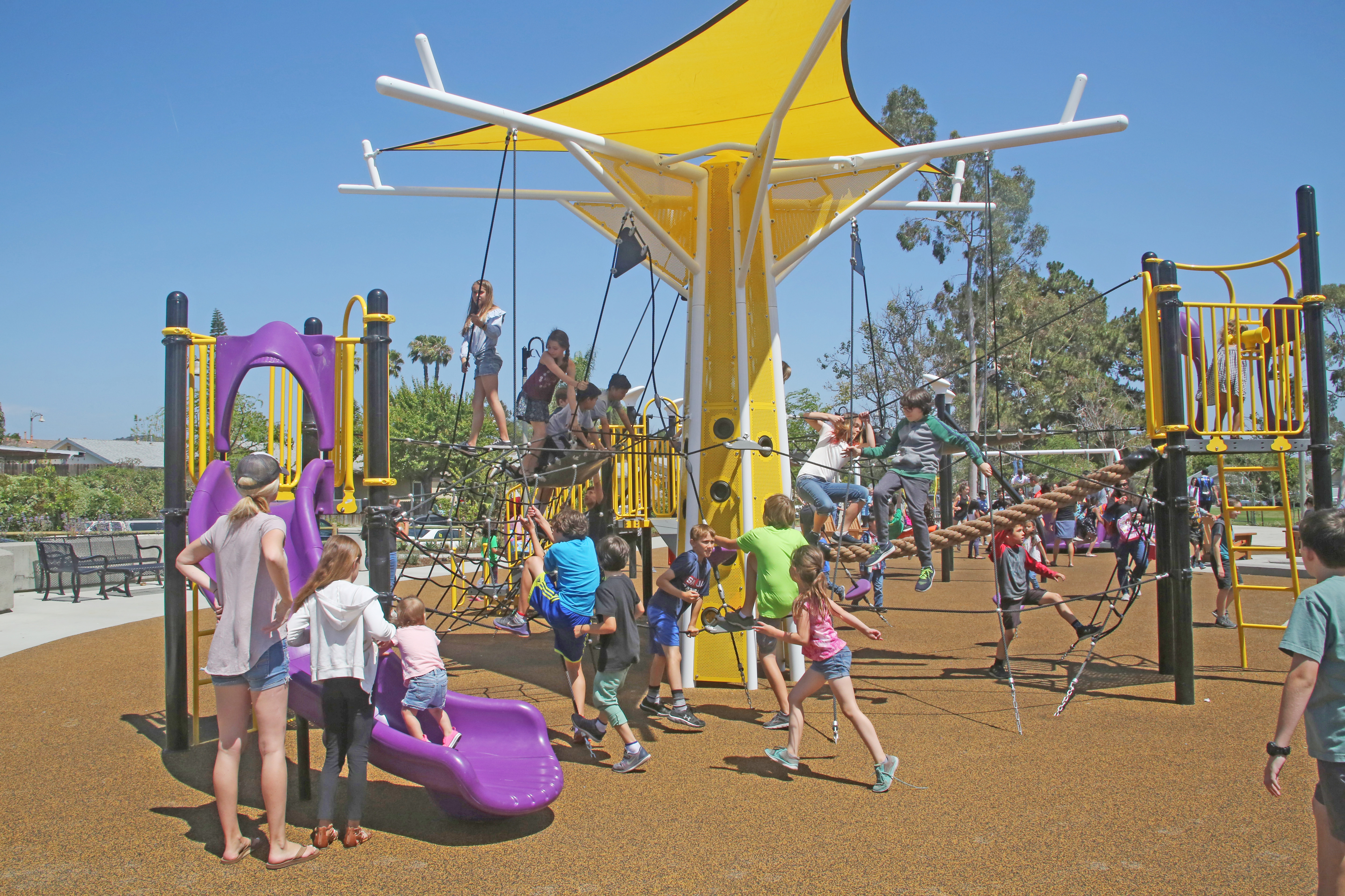 RJMDesignGroup » Cordova Park