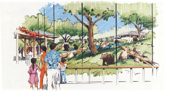Featured image for “Folsom City Zoo Sanctuary Black Bear Exhibit”
