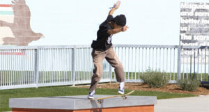 Featured image for “Mayberry Skatepark Grand Opening”